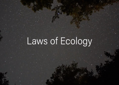 Laws of Ecology